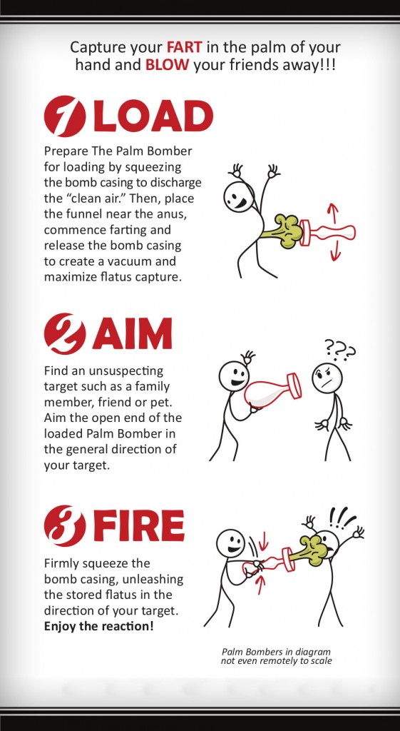 Palm Bomber Instructions